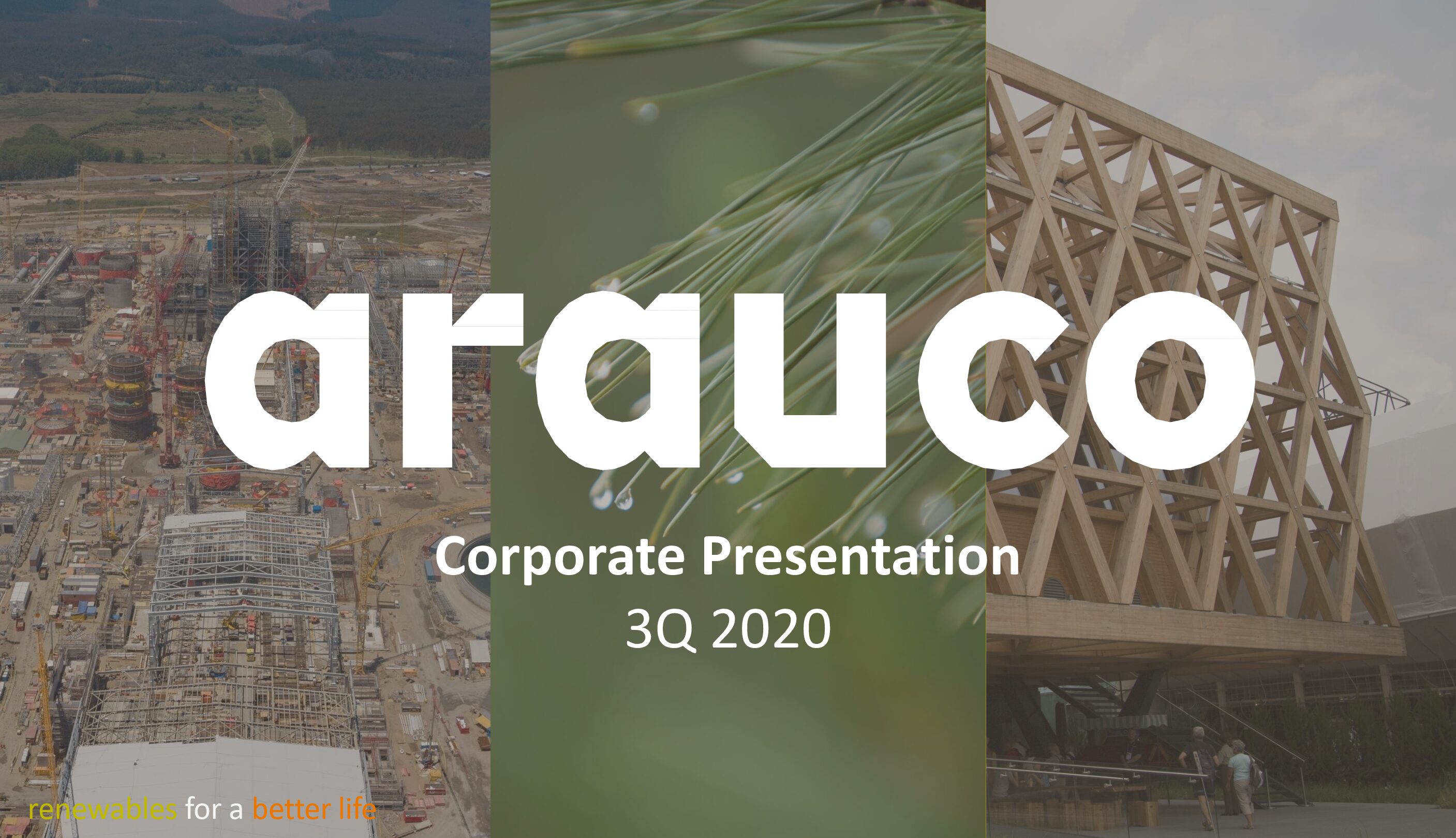 https://arauco.com/uk/wp-content/uploads/sites/28/2021/02/2020.09-Corporate-Presentation-VF2-pdf.jpg