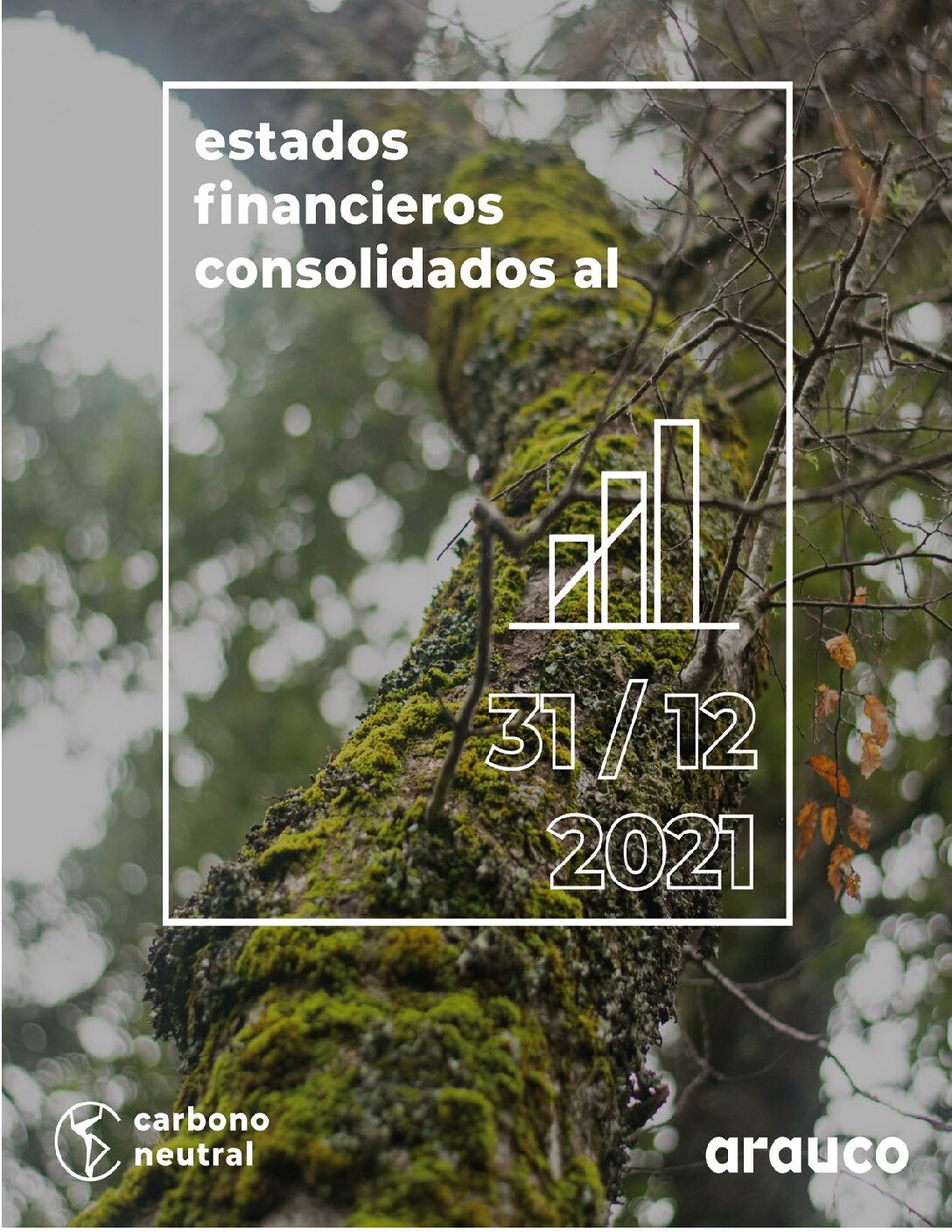 https://arauco.com/uk/wp-content/uploads/sites/28/2022/03/Estados_financieros_PDF93458000_202112-1-pdf.jpg