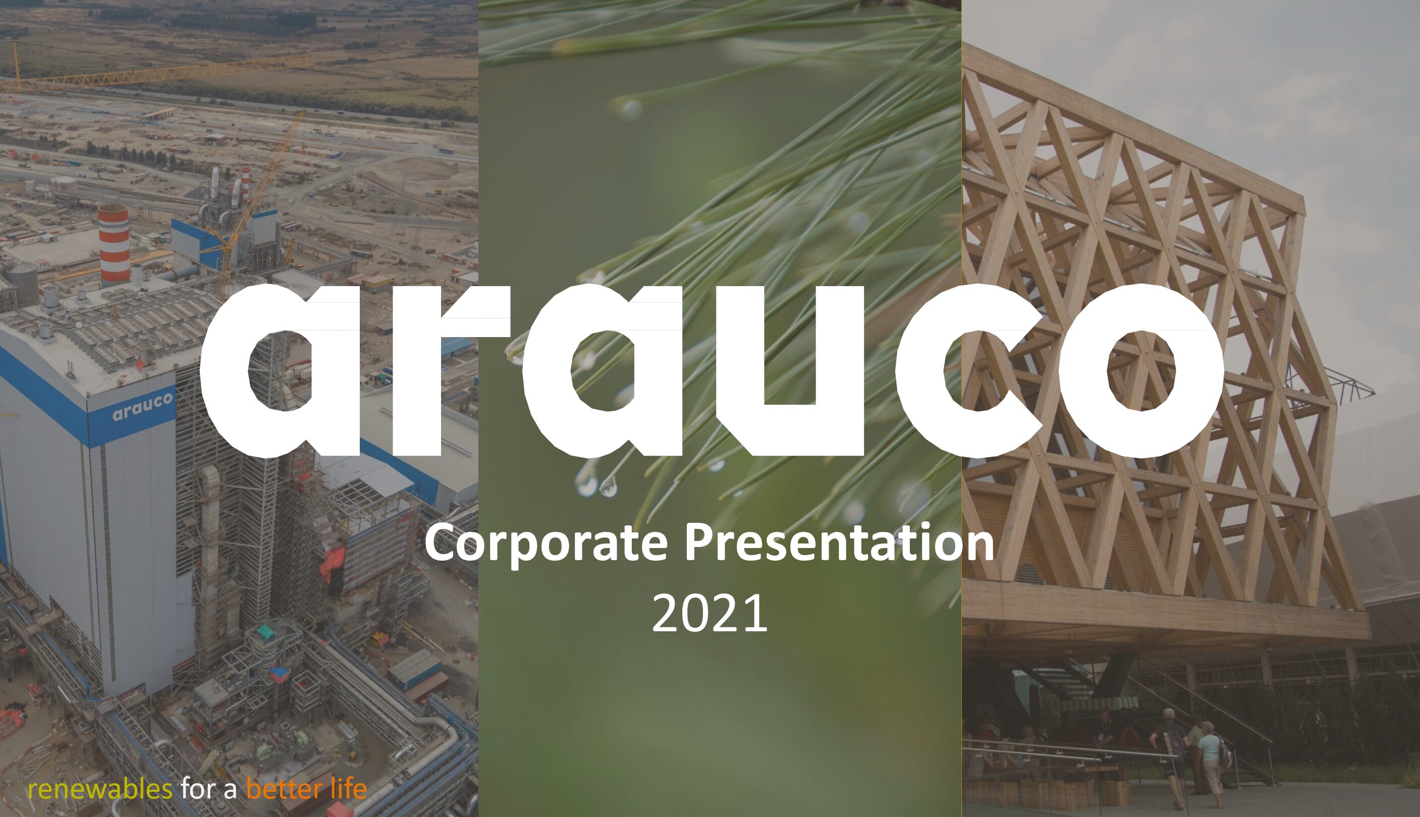 https://arauco.com/uk/wp-content/uploads/sites/28/2022/05/2021.12-Corporate-Presentation-v1-pdf.jpg