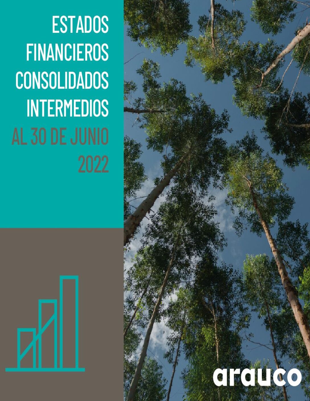 https://arauco.com/uk/wp-content/uploads/sites/28/2022/08/Estados_financieros_PDF93458000_202206-pdf.jpg