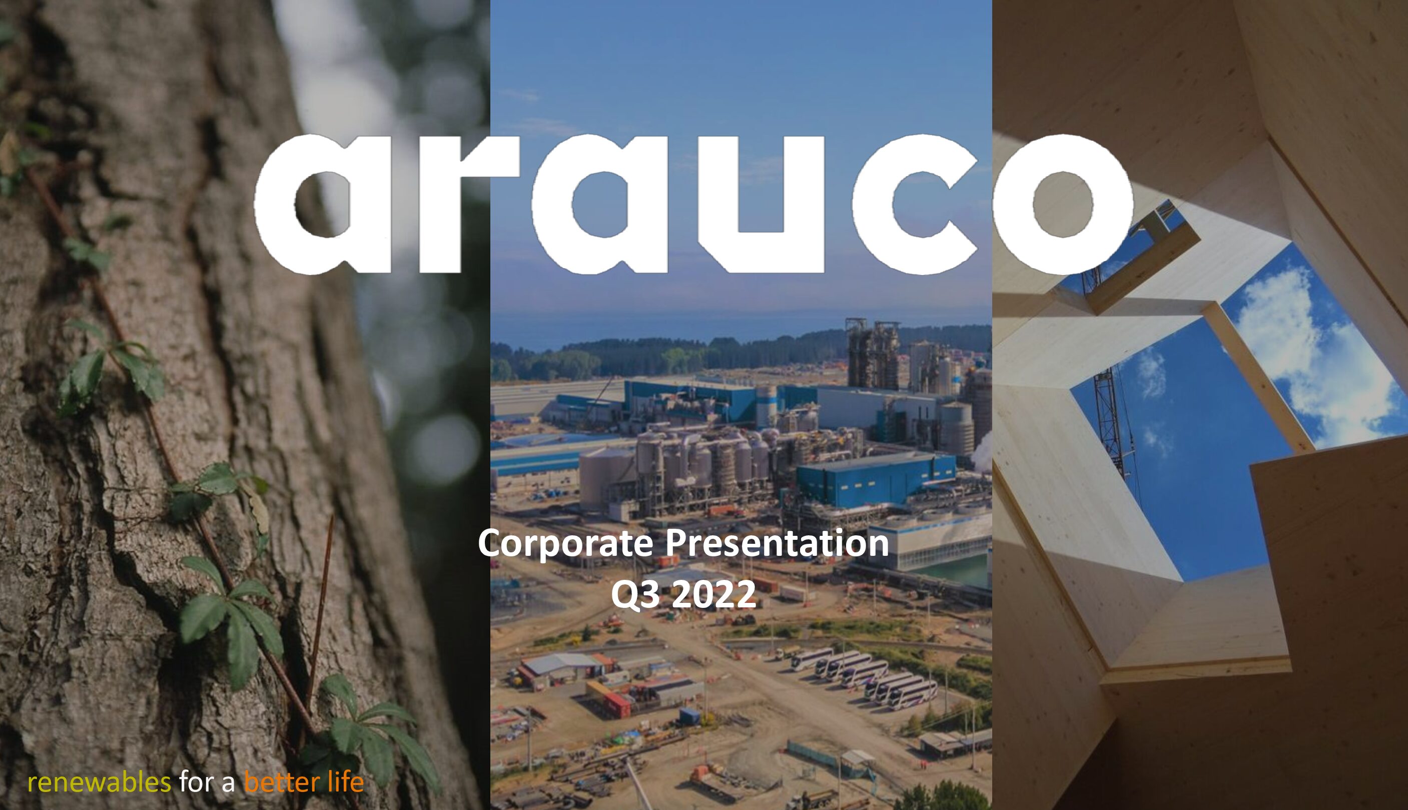 https://arauco.com/uk/wp-content/uploads/sites/28/2022/12/2022.09-Corporate-Presentation-pdf.jpg