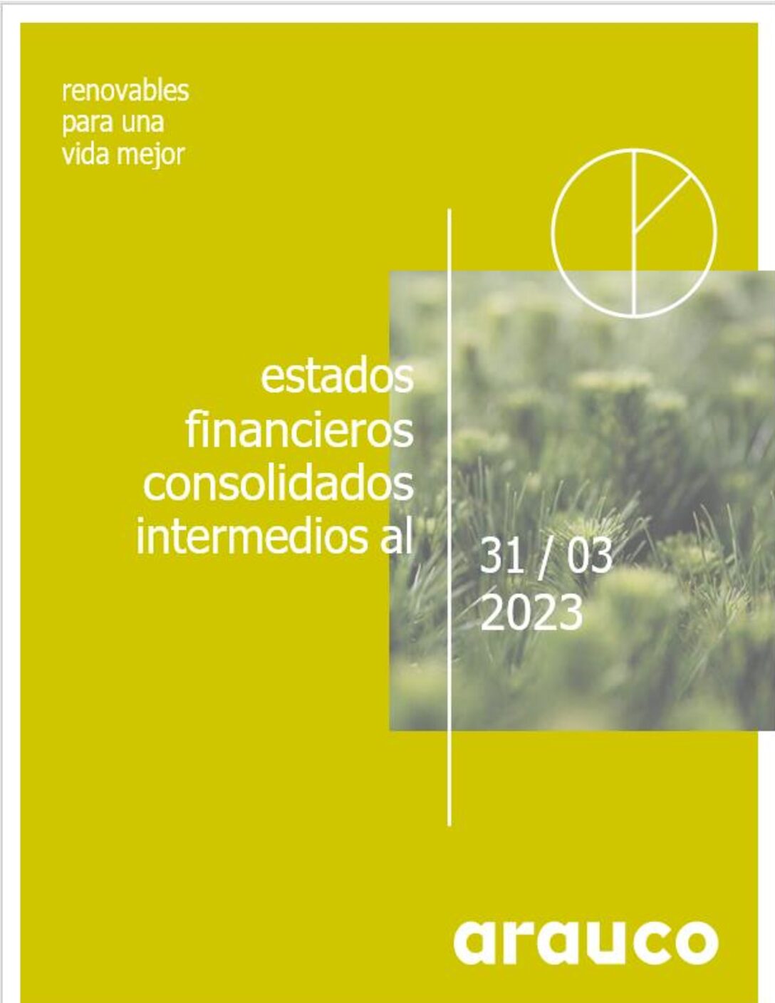 https://arauco.com/uk/wp-content/uploads/sites/28/2023/05/Estados_financieros_PDF93458000_202303-pdf.jpg