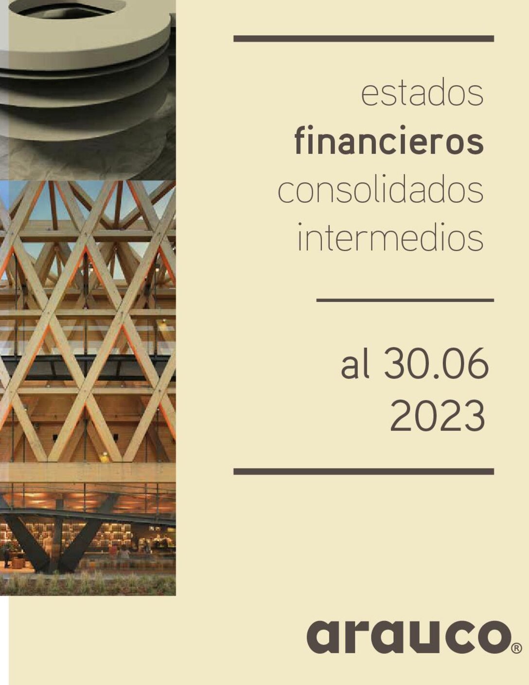 https://arauco.com/uk/wp-content/uploads/sites/28/2023/08/Estados_financieros_PDF93458000_202306-pdf.jpg