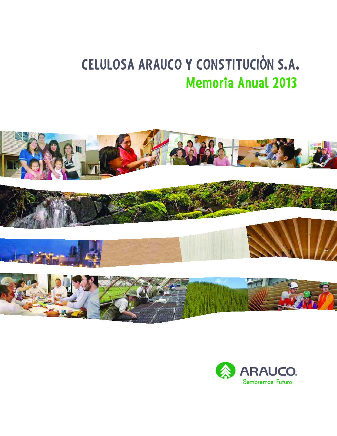 https://arauco.com/wp-content/uploads/2017/07/4-Memoria-Anual-2013-1-pdf.jpg
