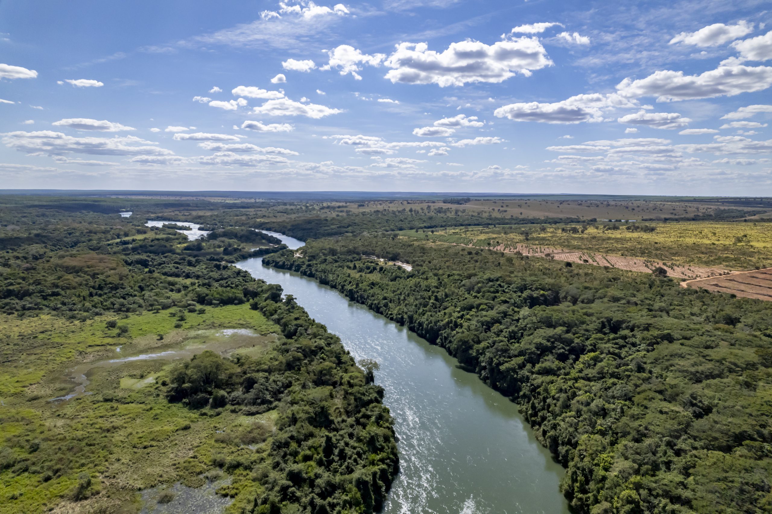 [:es]Arauco cierra con éxito un financiamiento de US$2.200 millones para su emblemático Proyecto Sucuriú en Brasil, con la participación de Finnvera, BID Invest e IFC. [:] [:en]Arauco successfully closes US$2.2 billion financing for its landmark Sucuriú Project in Brazil with Finnvera, IDB Invest and IFC.[:] [:pb]Arauco captou US$ 2,2 bilhões com BID Invest, IFC e Finnvera para financiamento do Projeto Sucuriu[:]